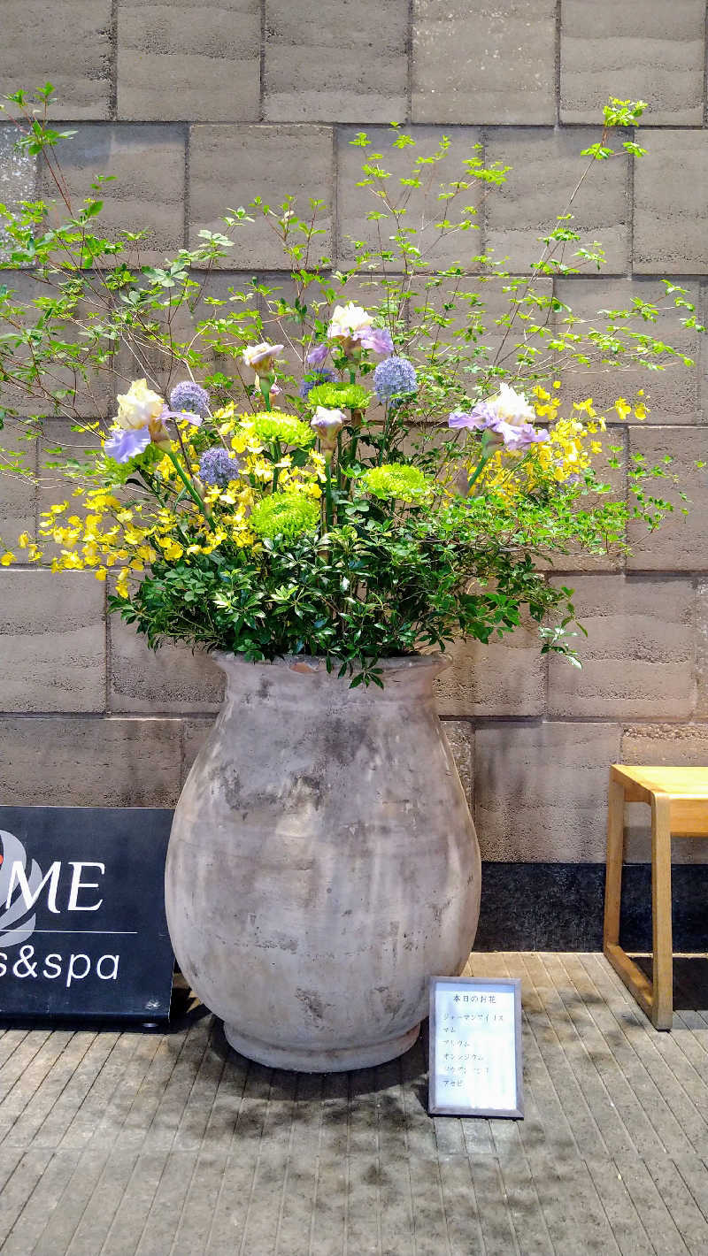 ムラたんさんの綱島源泉 湯けむりの庄のサ活写真