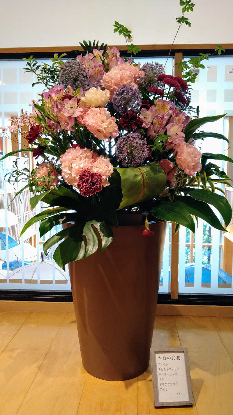 ムラたんさんの綱島源泉 湯けむりの庄のサ活写真