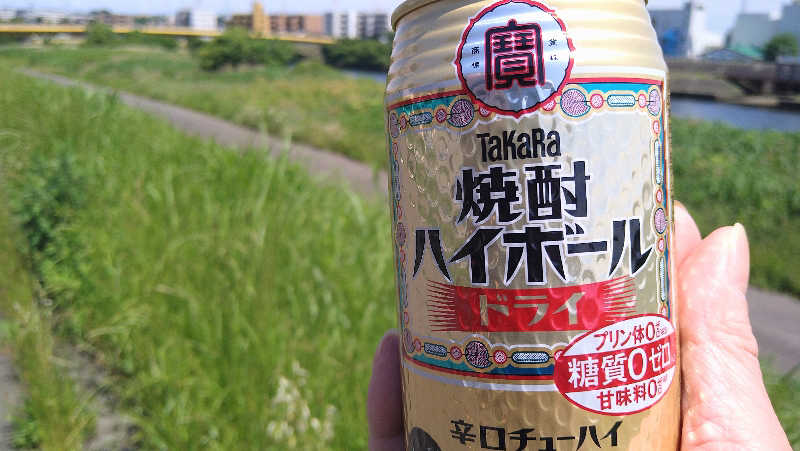 ムラたんさんの綱島源泉 湯けむりの庄のサ活写真