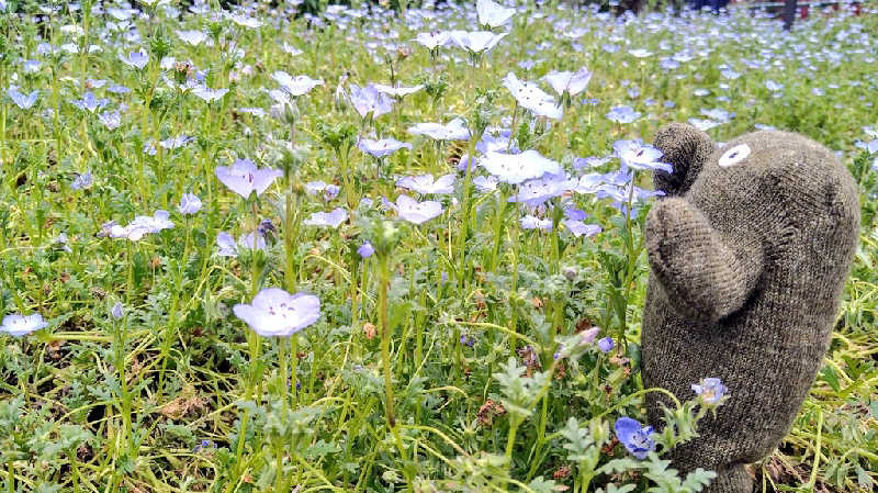 ムラたんさんのジェクサー・フィットネス&スパ 大井町のサ活写真