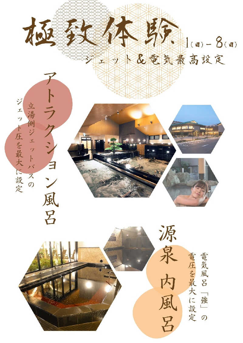 ムラたんさんの綱島源泉 湯けむりの庄のサ活写真