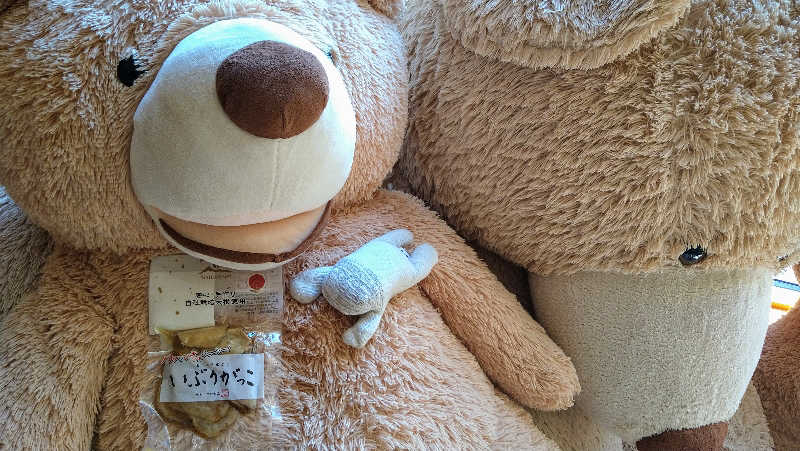 ムラたんさんの綱島源泉 湯けむりの庄のサ活写真