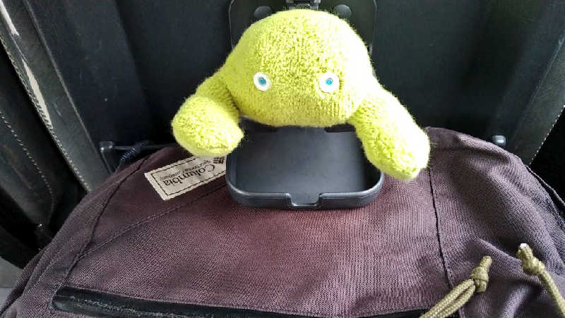 ムラたんさんの綱島源泉 湯けむりの庄のサ活写真