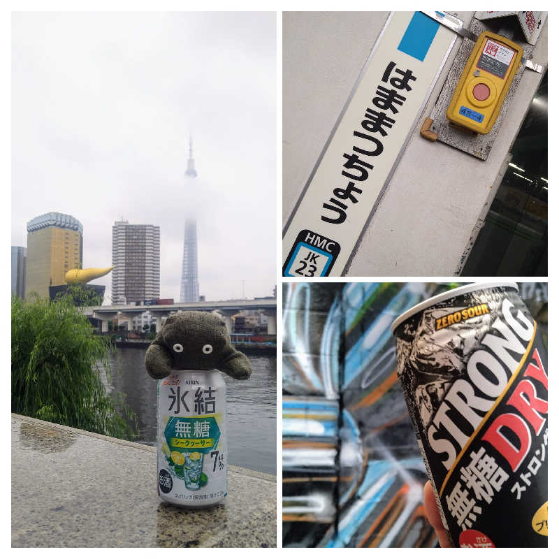 ムラたんさんの綱島源泉 湯けむりの庄のサ活写真