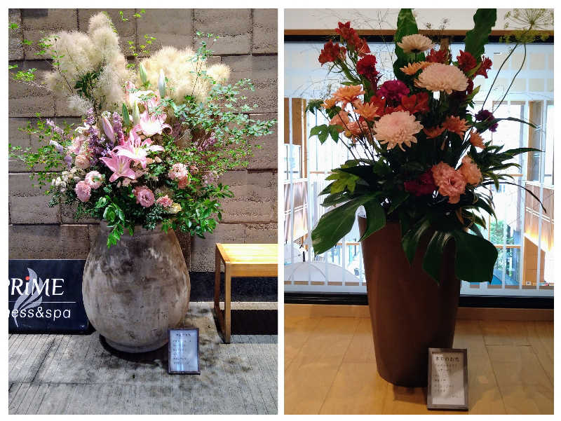 ムラたんさんの綱島源泉 湯けむりの庄のサ活写真