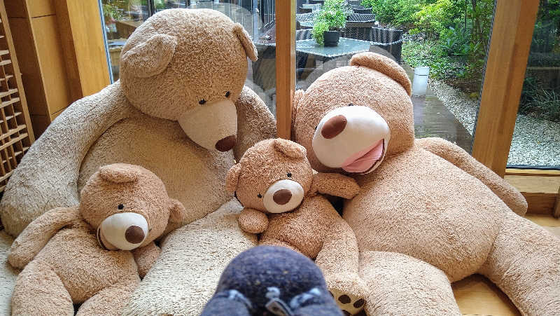 ムラたんさんの綱島源泉 湯けむりの庄のサ活写真