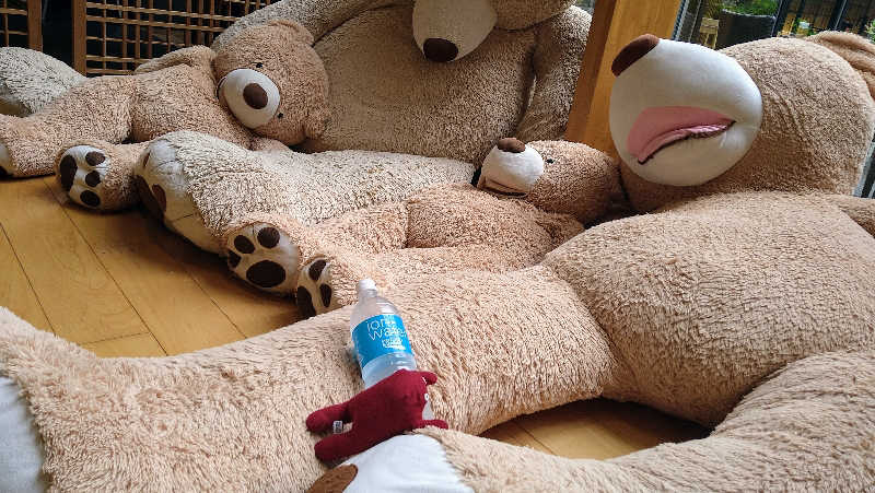 ムラたんさんの綱島源泉 湯けむりの庄のサ活写真