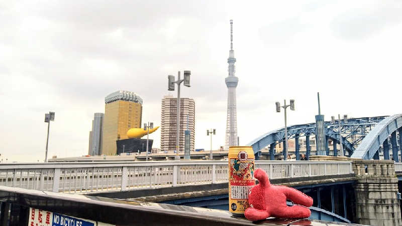 ムラたんさんの綱島源泉 湯けむりの庄のサ活写真