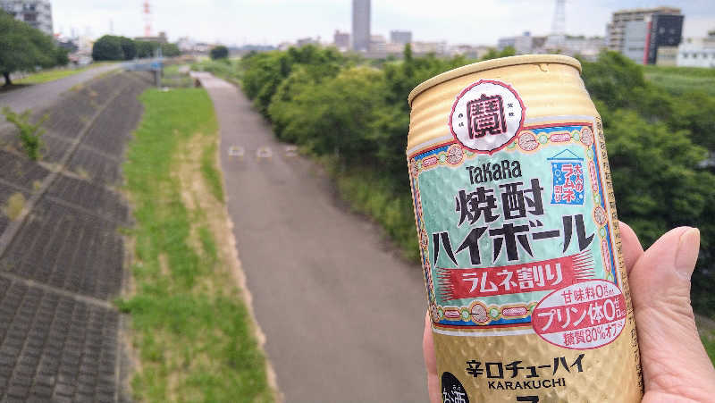 ムラたんさんの綱島源泉 湯けむりの庄のサ活写真
