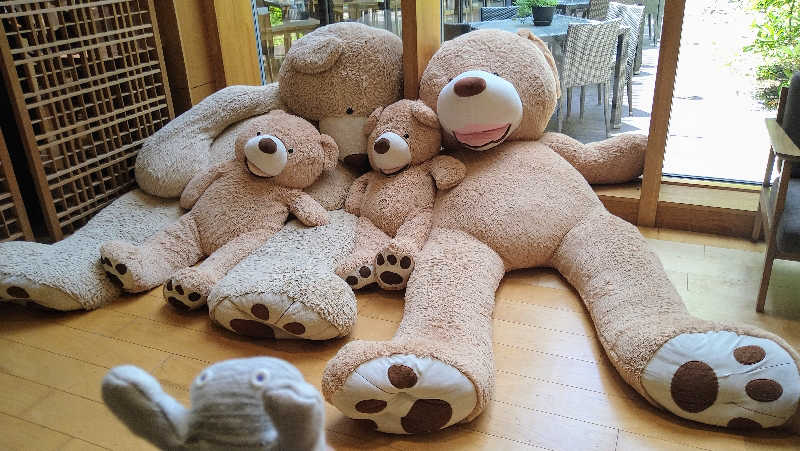 ムラたんさんの綱島源泉 湯けむりの庄のサ活写真