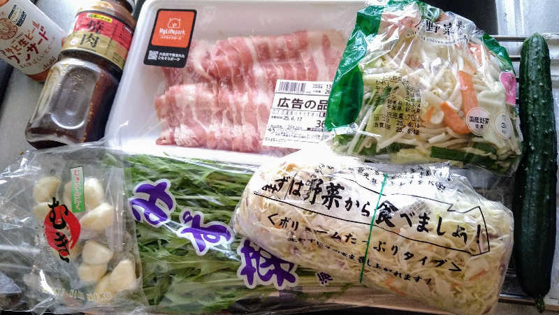 ムラたんさんの綱島源泉 湯けむりの庄のサ活写真