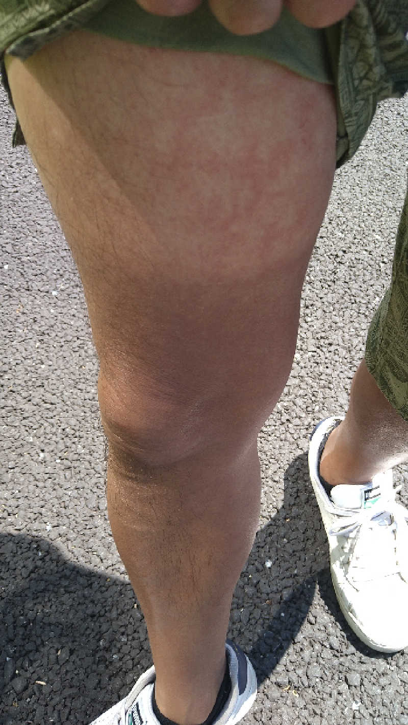 ムラたんさんの綱島源泉 湯けむりの庄のサ活写真