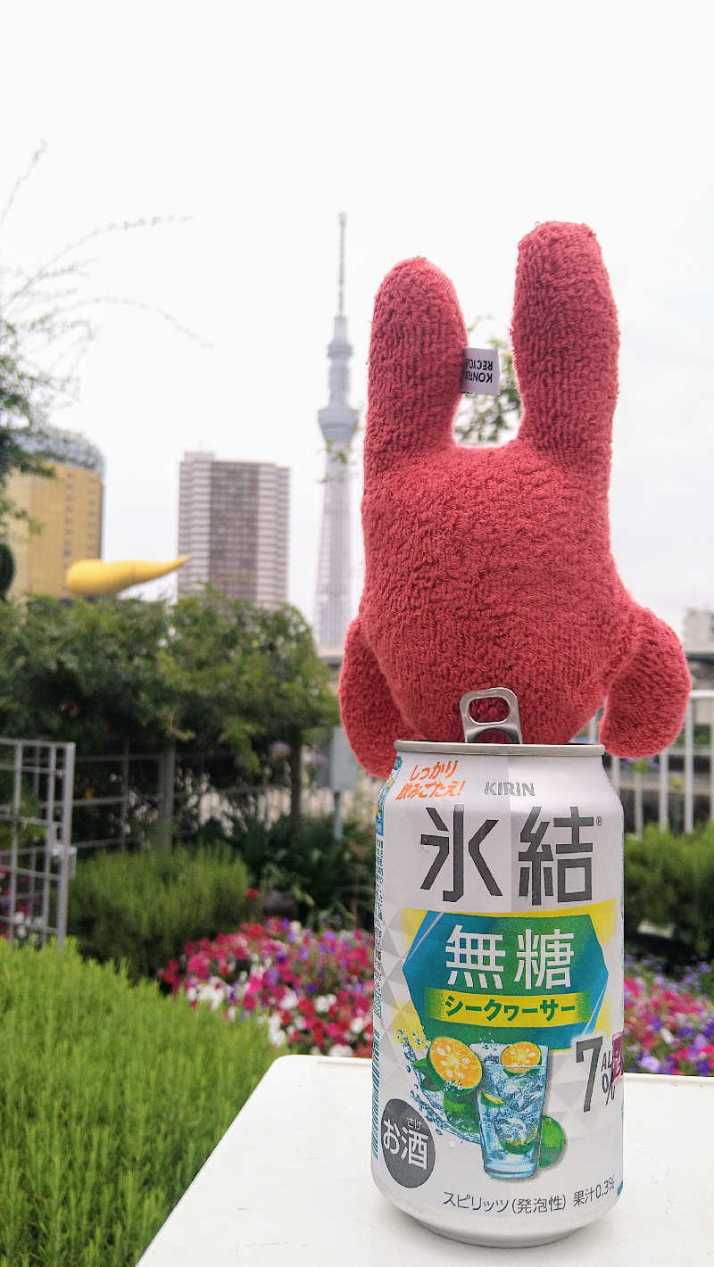 ムラたんさんの綱島源泉 湯けむりの庄のサ活写真