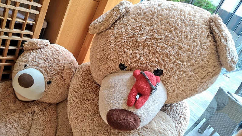 ムラたんさんの綱島源泉 湯けむりの庄のサ活写真