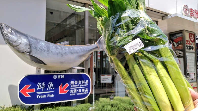 ムラたんさんの綱島源泉 湯けむりの庄のサ活写真