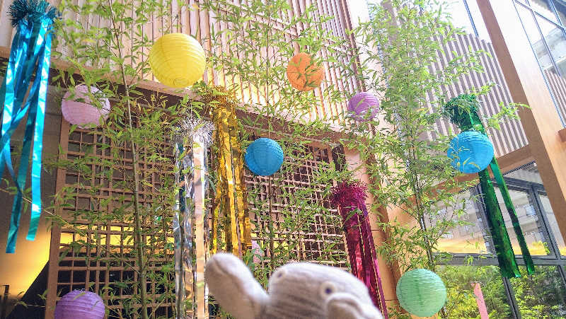 ムラたんさんの綱島源泉 湯けむりの庄のサ活写真