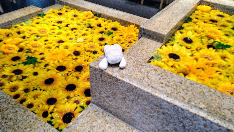 ムラたんさんの綱島源泉 湯けむりの庄のサ活写真