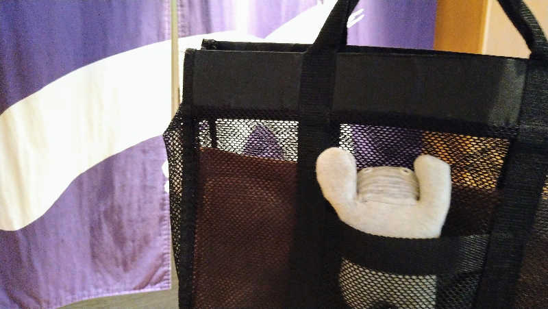 ムラたんさんの綱島源泉 湯けむりの庄のサ活写真