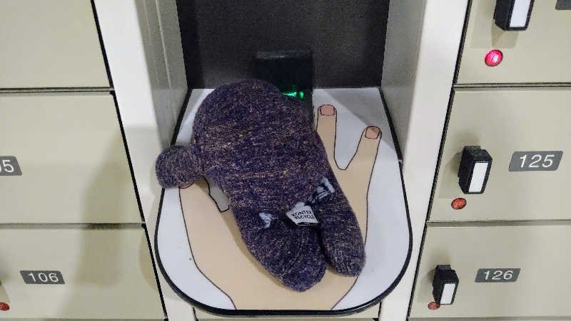 ムラたんさんのジェクサー・フィットネス&スパ 大井町のサ活写真