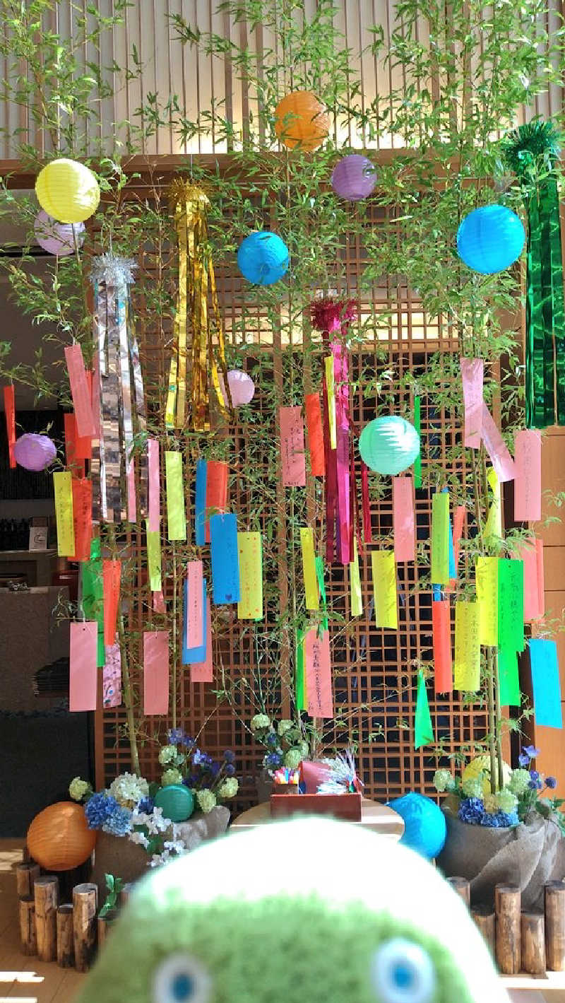 ムラたんさんの綱島源泉 湯けむりの庄のサ活写真