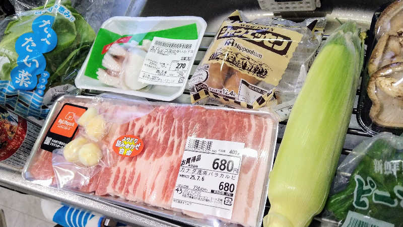 ムラたんさんの綱島源泉 湯けむりの庄のサ活写真