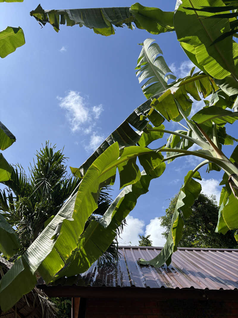 えりりんさんのSauna Patong Barのサ活写真