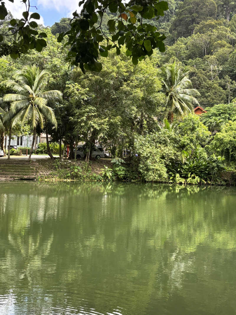 えりりんさんのカトゥ・ハーブサウナ (Kathu Herb Sauna)のサ活写真