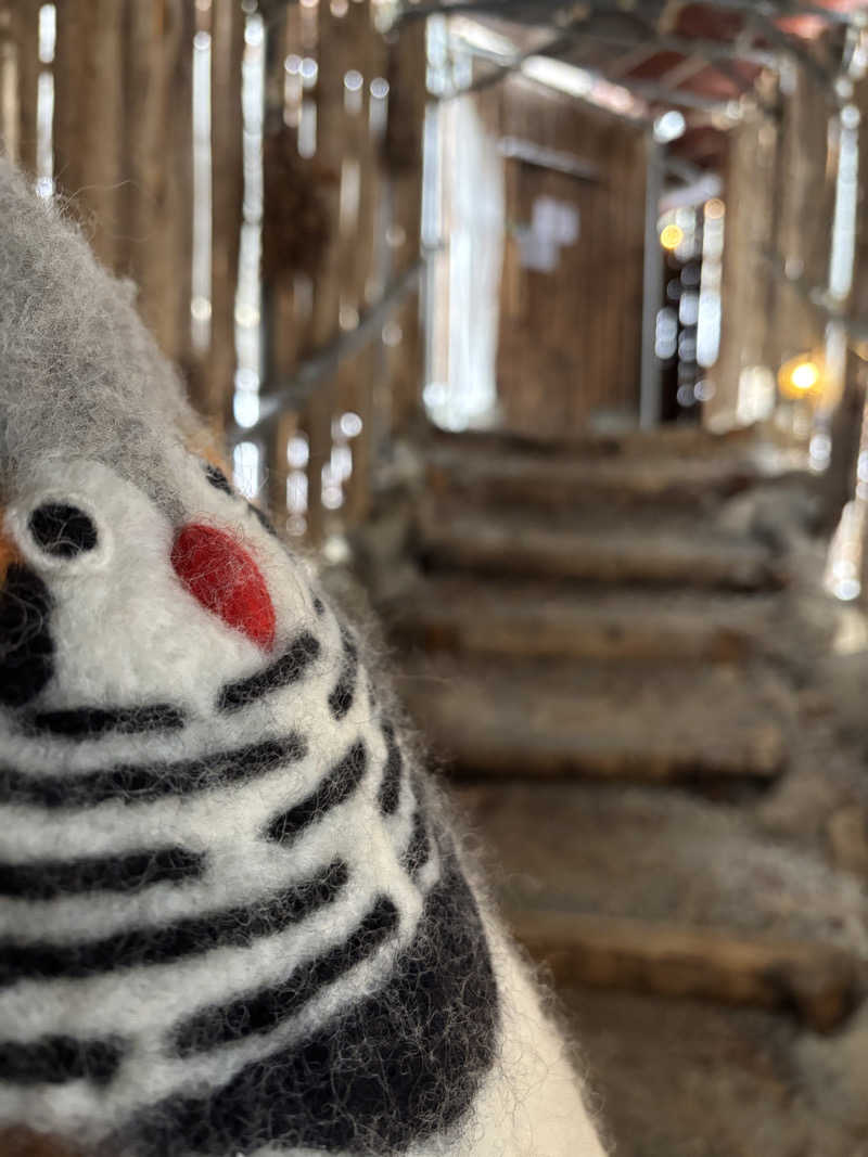 えりりんさんのThe TOJIBA 松川館のサ活写真