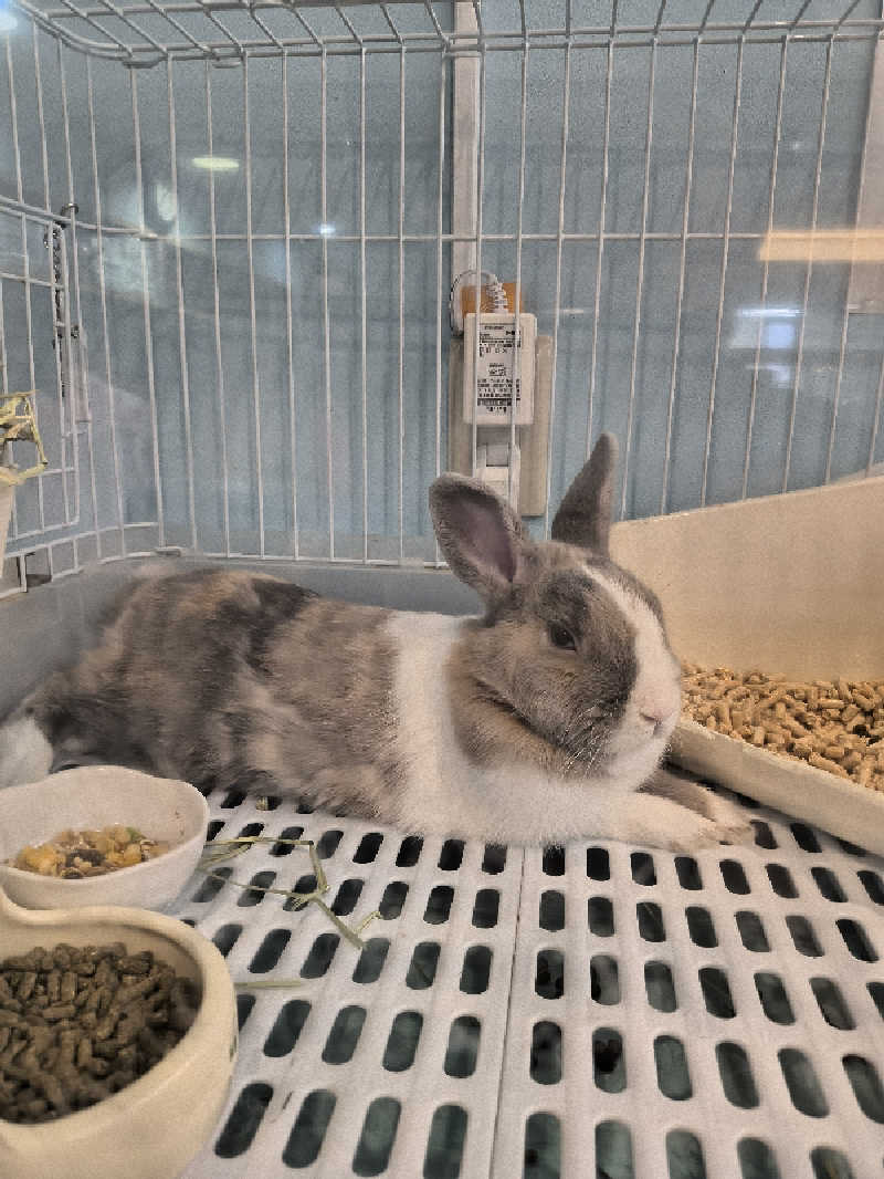 まーくん@サブ3.75サウランナーさんのアクアリゾート 岐阜ふじの湯のサ活写真