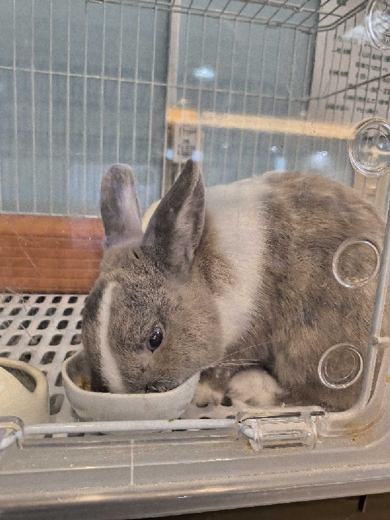 まーくん@サブ3.75サウランナーさんのアクアリゾート 岐阜ふじの湯のサ活写真