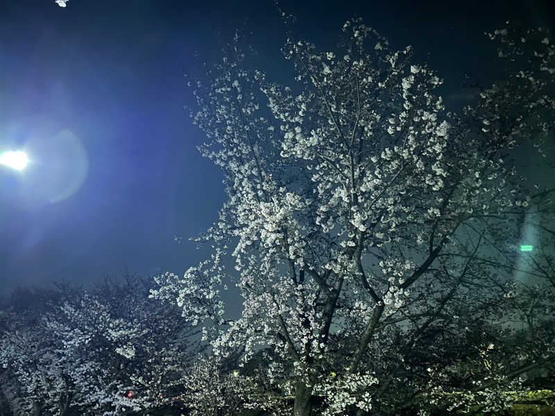 てるちんさんの京都  竹の郷温泉  万葉の湯のサ活写真