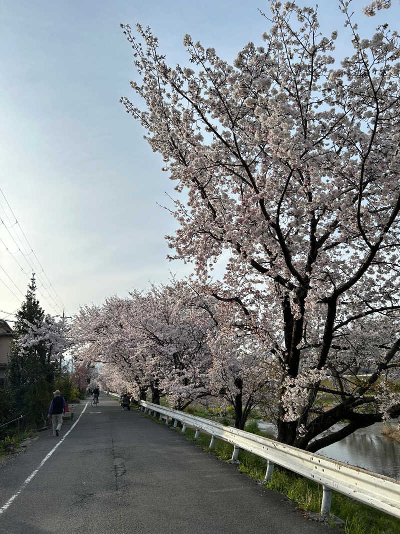 てるちんさんの鴨川湯のサ活写真