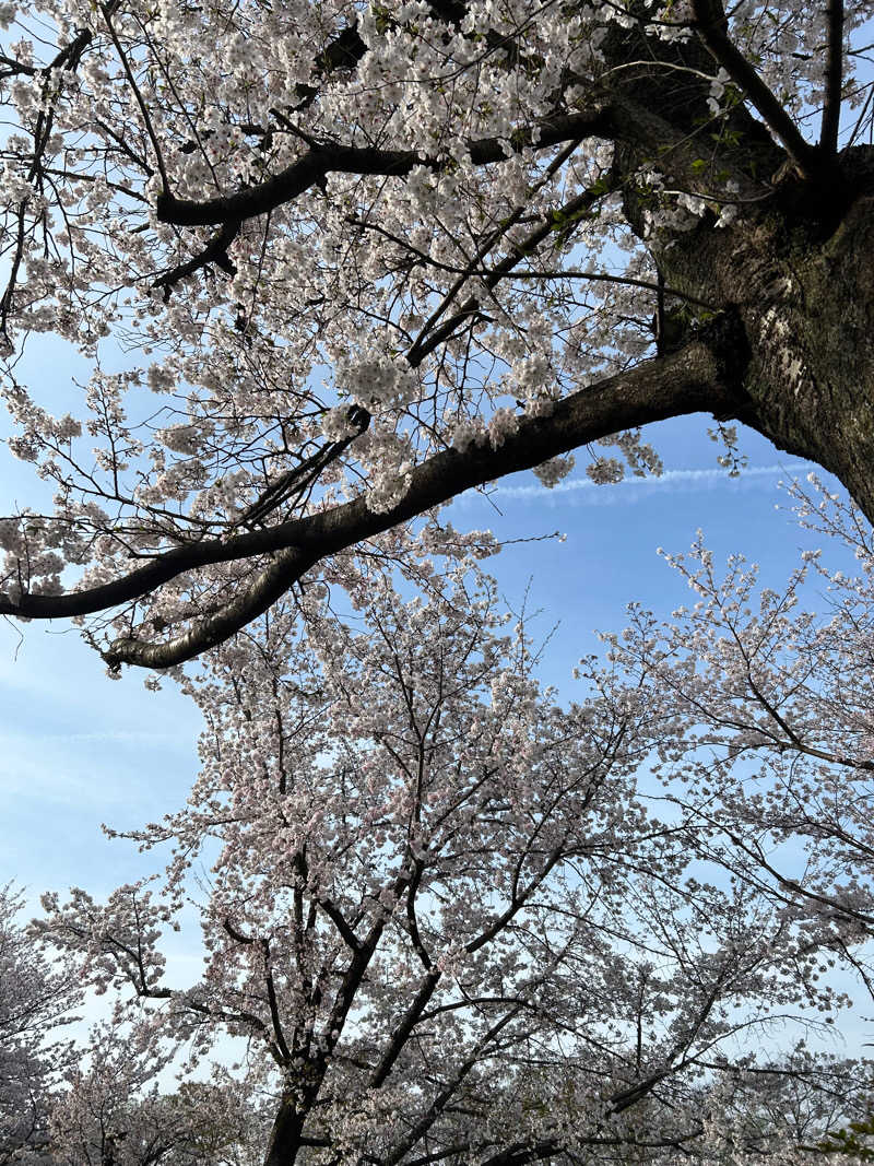 てるちんさんの鴨川湯のサ活写真