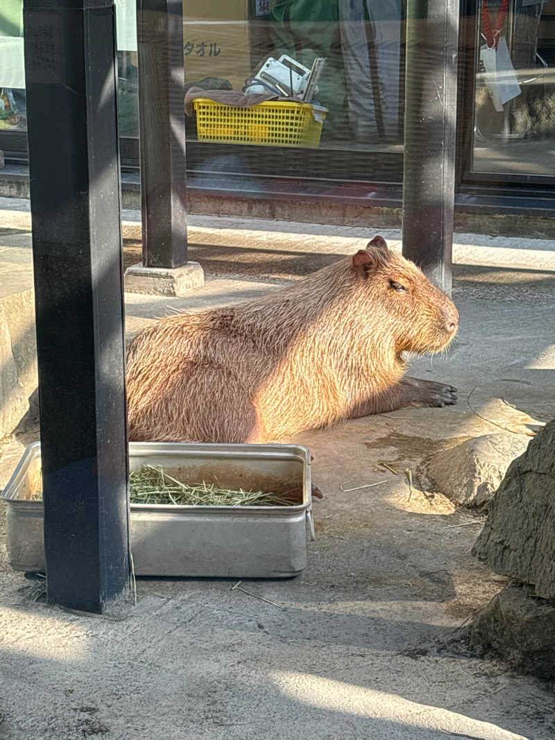 tadさんの石狩天然温泉 番屋の湯のサ活写真