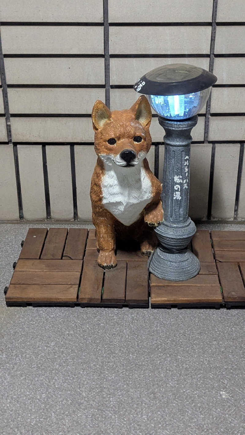 伊坂十蔵さんのヘルシーバス松の湯のサ活写真