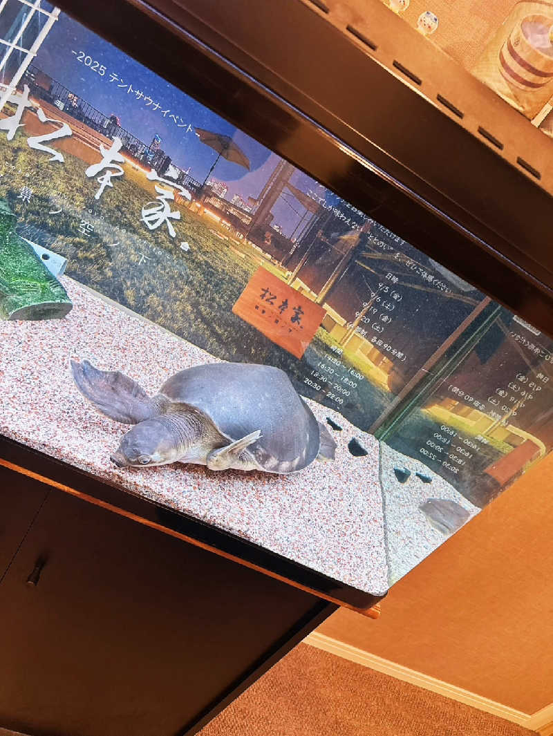 サウナが好きなウサギ🐰さんの松本湯のサ活写真
