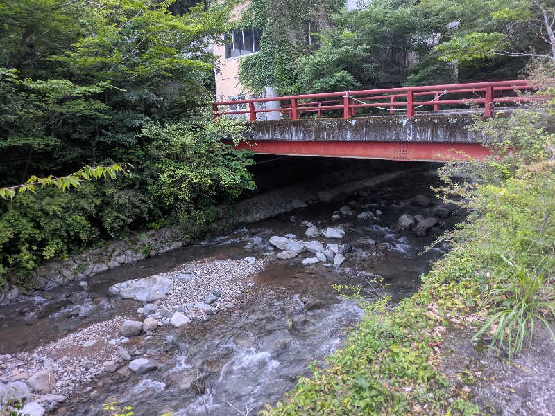 パンドロボー2世さんの千代田荘のサ活写真