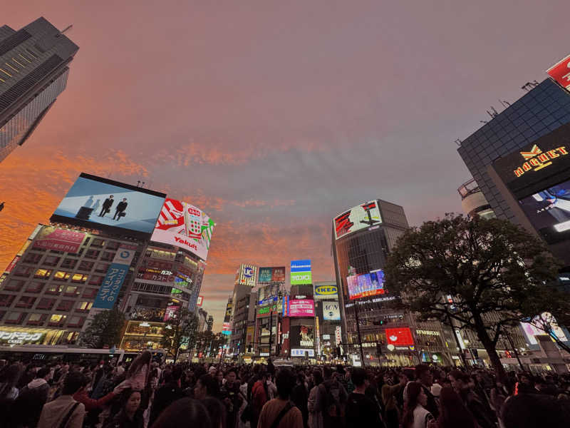 Shoさんの渋谷SAUNASのサ活写真