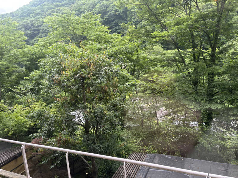 土佐のいごっそうさんのTAOYA川治のサ活写真