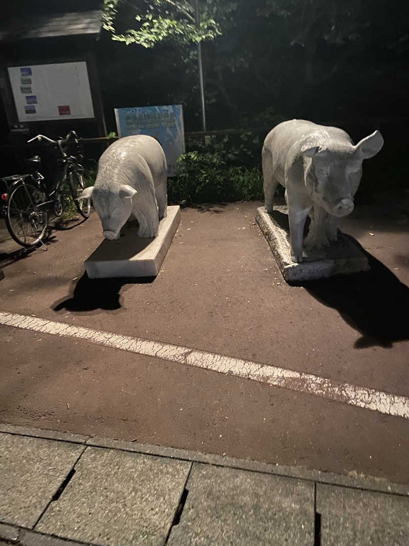 水風呂太郎さんのおおがわら天然温泉 いい湯のサ活写真