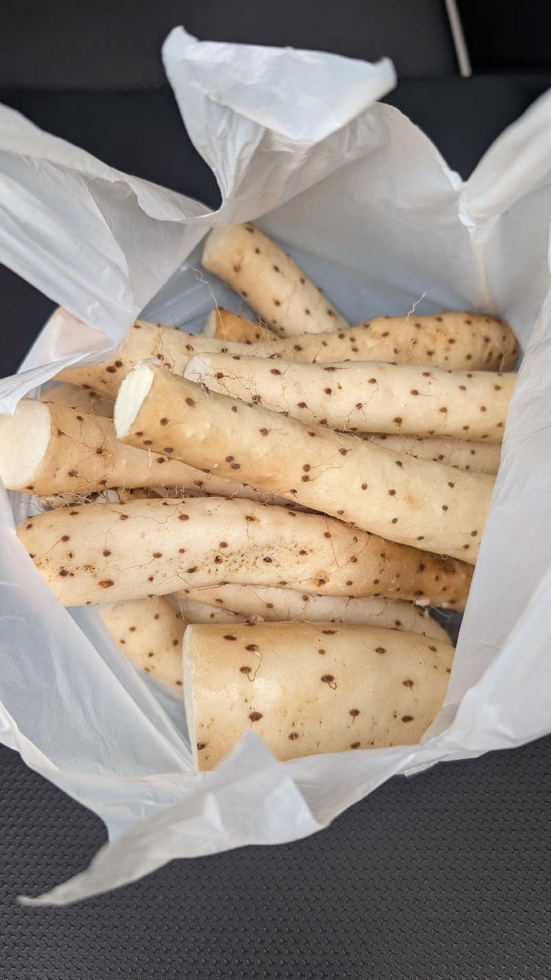 ともかさんのアクアセラピ温泉 森ランドのサ活写真