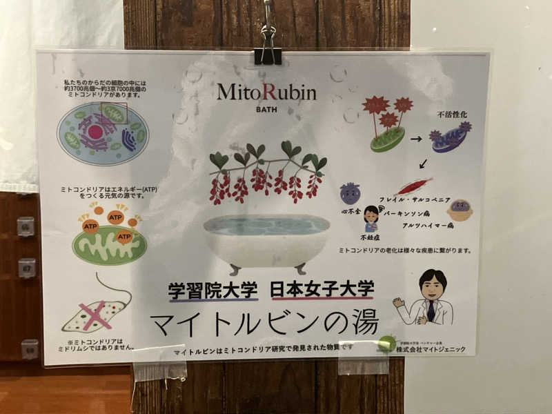 あやさんの文化浴泉のサ活写真