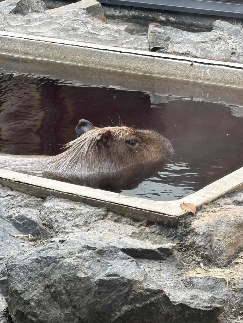 グッバイ地球🌏🚀さんの石狩天然温泉 番屋の湯のサ活写真