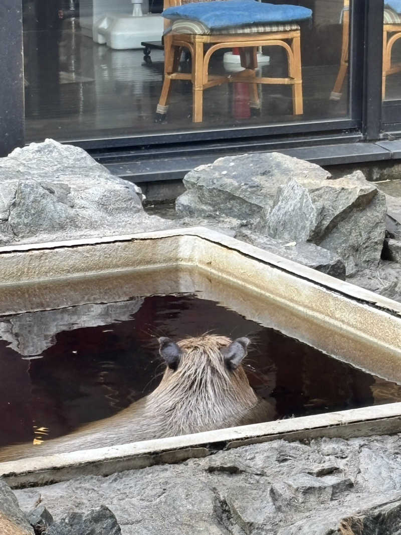 グッバイ地球🌏🚀さんの石狩天然温泉 番屋の湯のサ活写真