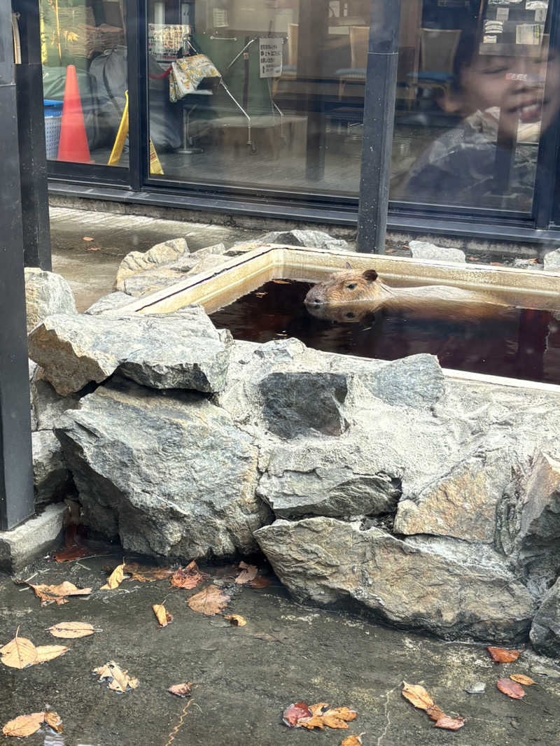 グッバイ地球🌏🚀さんの石狩天然温泉 番屋の湯のサ活写真