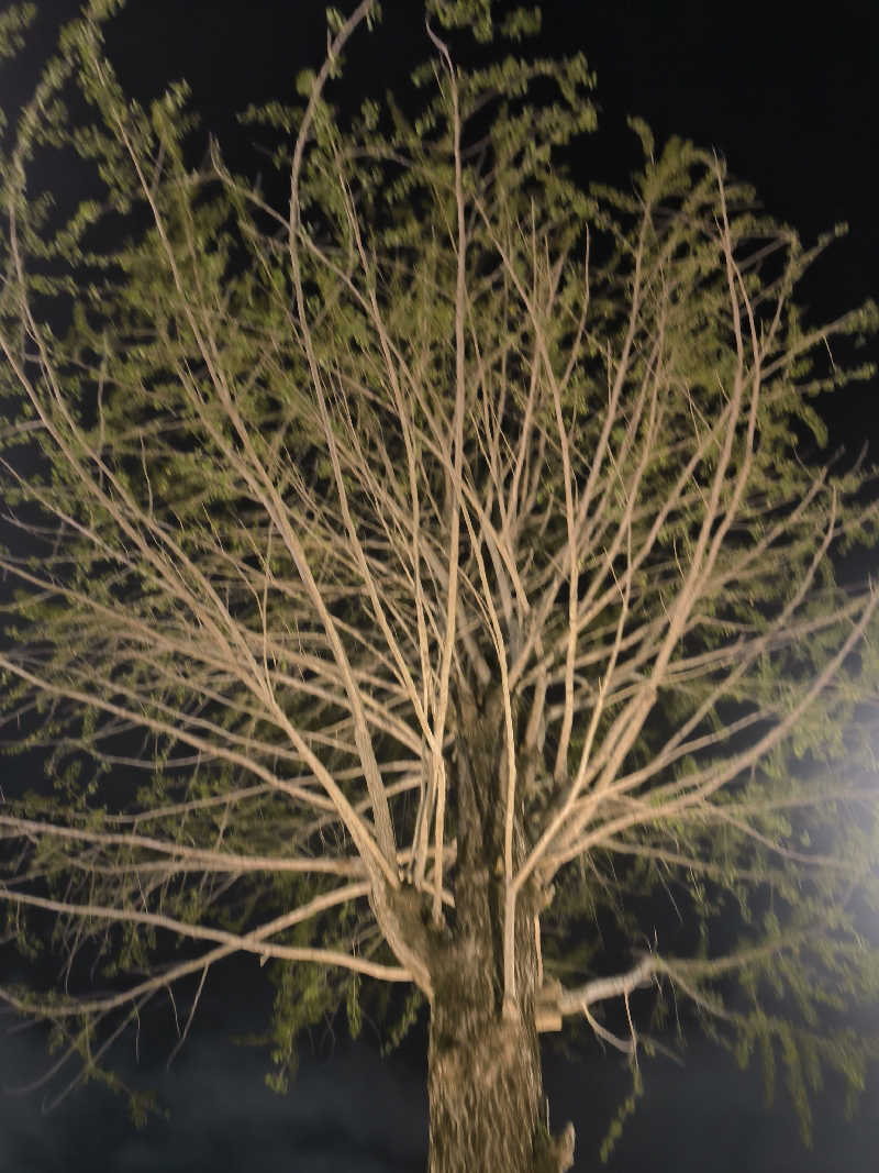 ドケチさんの天然露天温泉 スパスミノエのサ活写真