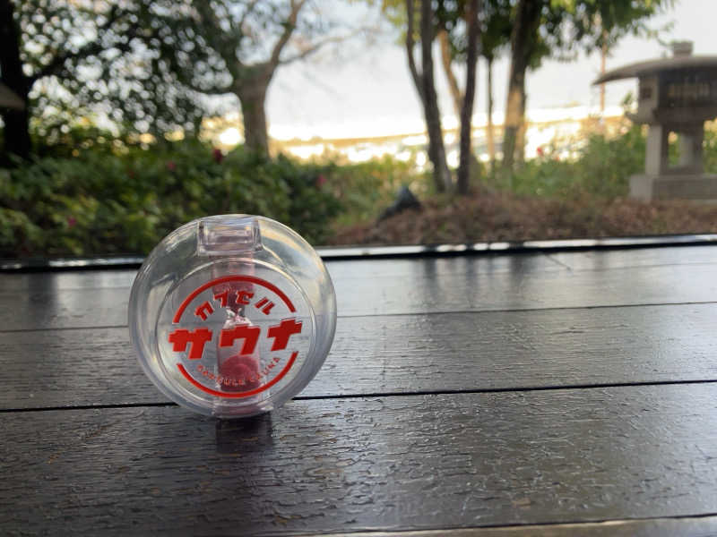 あ〜や〜♨️さんの湯源郷 太平のゆ 忠岡店のサ活写真