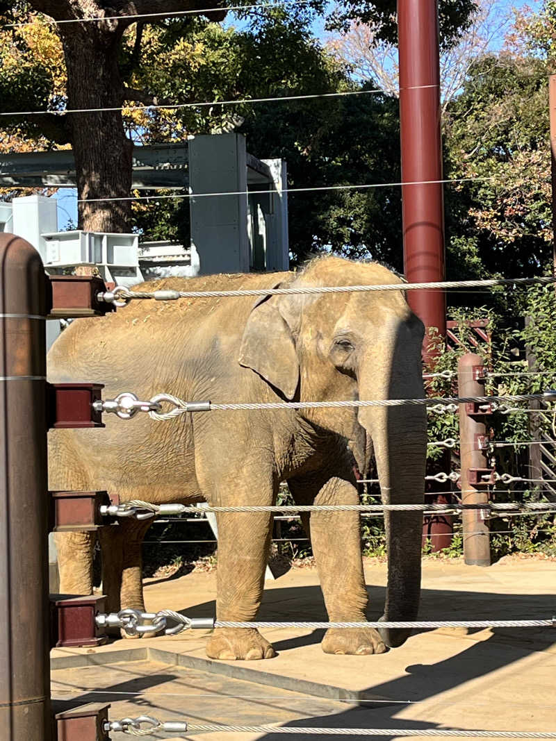 水風呂は14℃🫶さんのサウナ&カプセルホテル 北欧のサ活写真