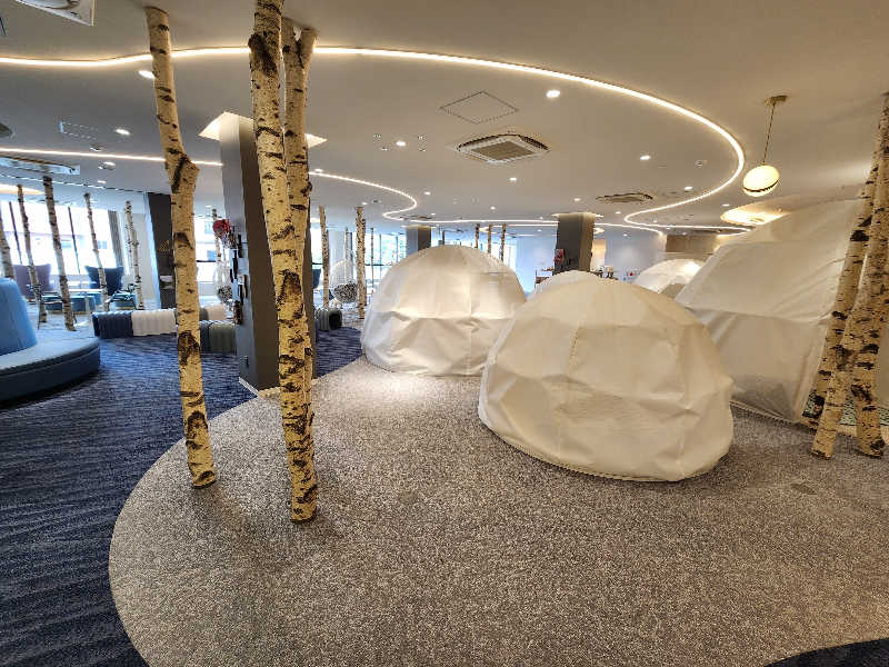 Ryoppiさんのおふろの王様 和光店のサ活写真