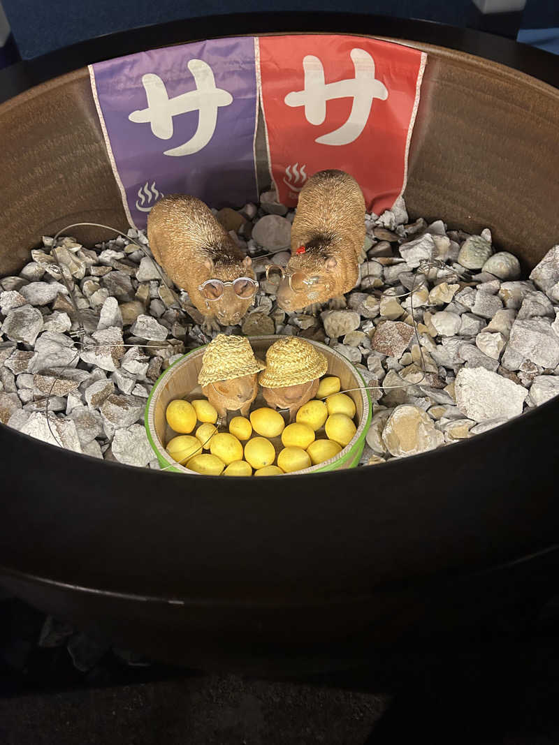 ミチョさんの富士山天然水SPA サウナ鷹の湯のサ活写真